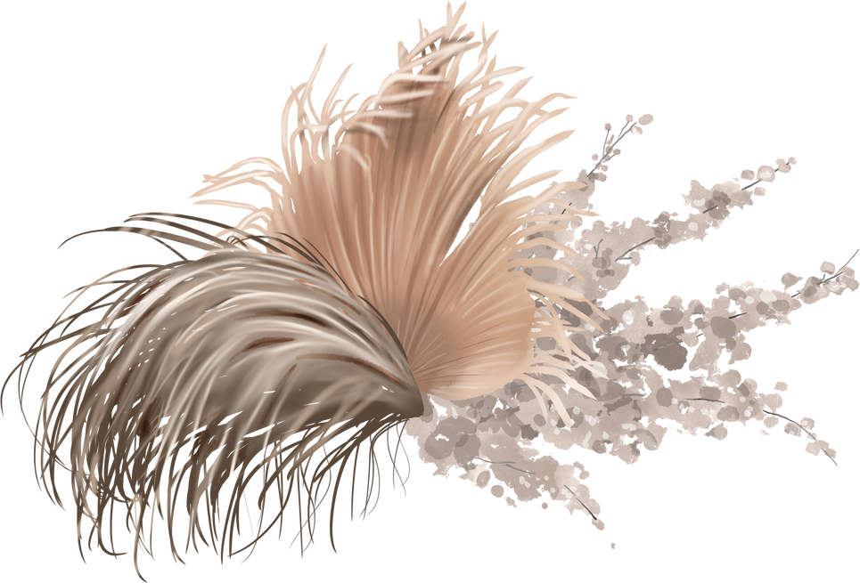 Watercolor pampas grass isolated on a white background. Bouquet of dry herbs. Fashionable decor